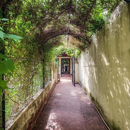 Santa Reparata Apartment With Patio And Terrace 佛罗伦萨 外观 照片